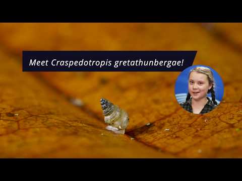 Greta Thunberg snail