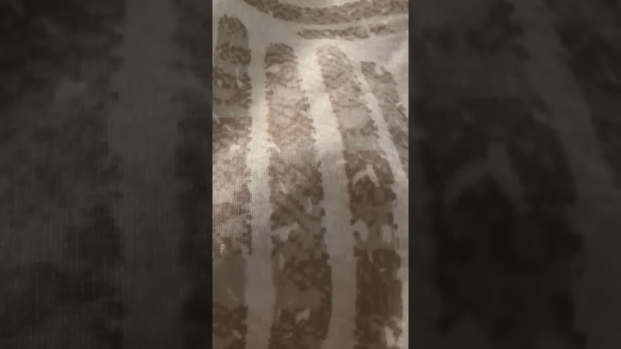 entity news doll entity log entry #3