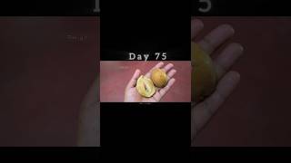 what is this ??? A new day new challenge ☺️ Day 75/90 #lifewithantriki #minivlog #onthisday #gav