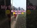 My fast mini vlog🙂 ରେ ହାତୀ 😅#minivlog#vlog#blogger #@blogger_ki_duniy_0.2