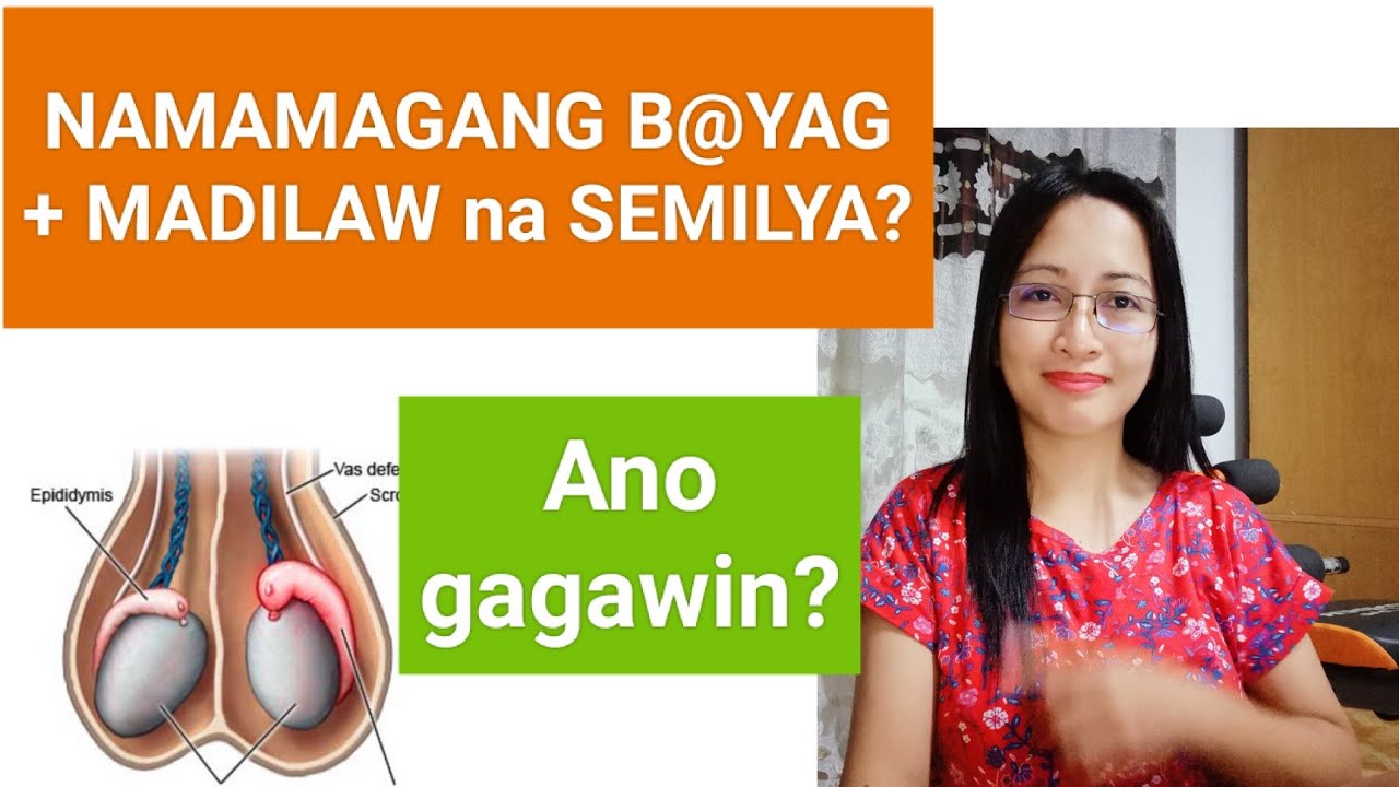 Dik sperma quyultirilgan sutni yalaydi