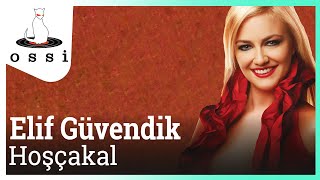 Elif Güvendik - Hoşça Kal Resimi