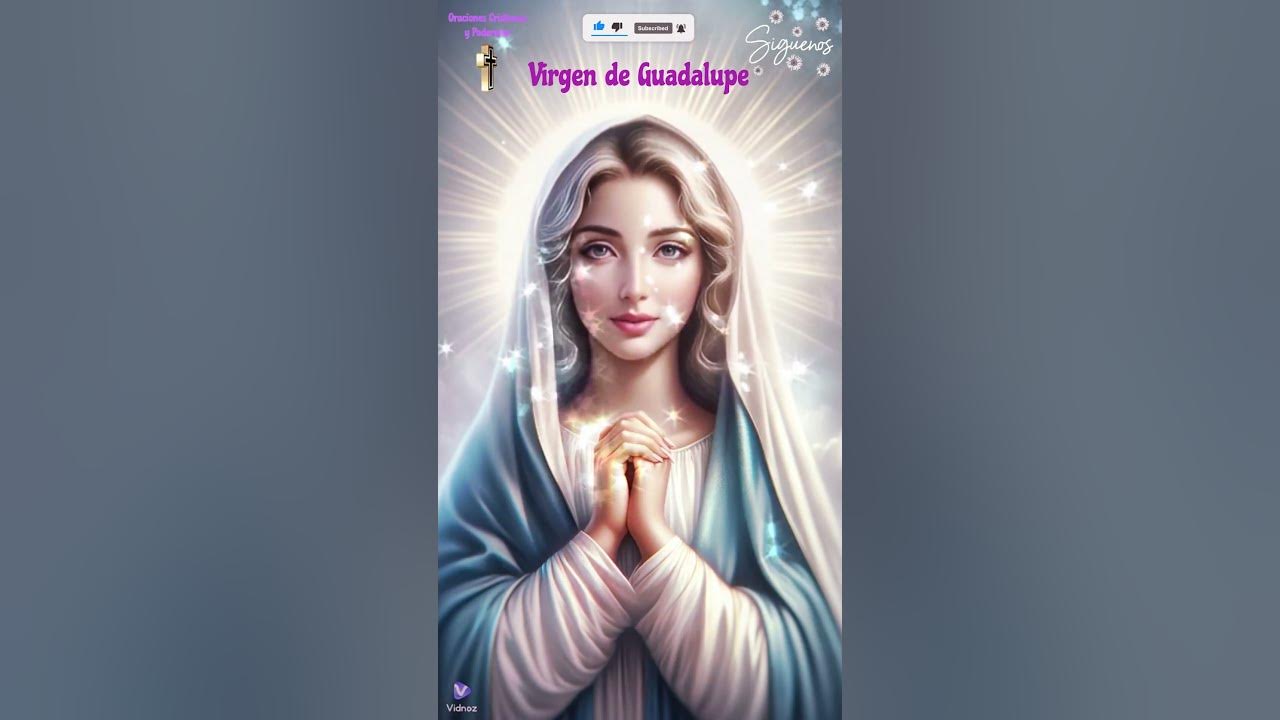 🌹¿Acaso no estoy aquí yo, que soy tu madre?🌹 Virgen de Guadalupe #virgendeguadalupe #virgenmaria