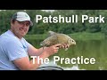 Patshull Park The Practice | Feeder Fishing