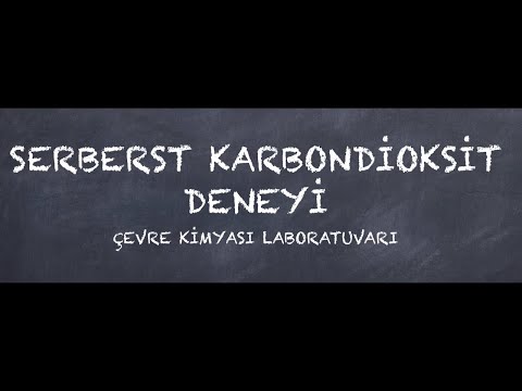 Video: Karbondioksit organik midir?