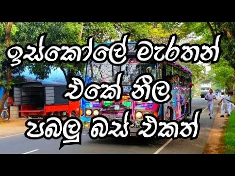 Download Neela pabalu bus in mahiyangana college marathon