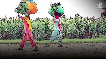 Good practices for pesticide use and application