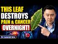 Put This Leaf in Hot Water and Drink It — Your Joints, Skin and Blood Sugar Will Thank You