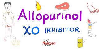 Gout Treatment - Xanthine Oxidase Inhibitors - Allopurinol And Febuxostat - Pharmacology