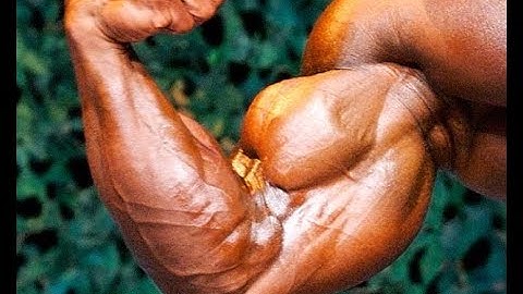 Biceps Hypertrophy--Isometric Contrast Sets