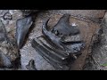 Rarest Discovery of 2019 Found Fossil Hunting in Florida | Florida Fossil Hunting Episode 11