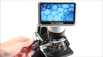 Ψηφιακό Μικροσκόπιο Celestron Tetraview