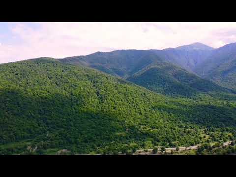 ლაფანყური/