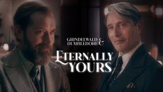 ❥ Eternally Yours | Grindelwald & Dumbledore