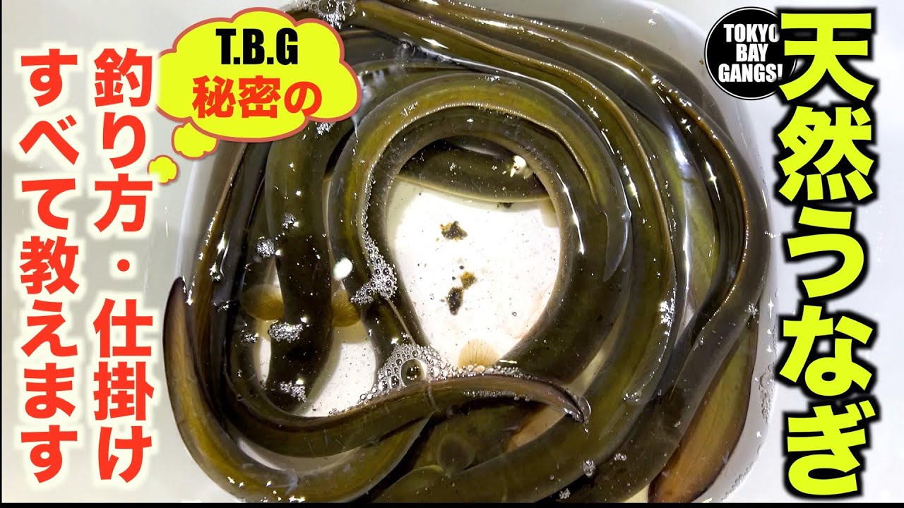 うなぎ　マル秘仕掛け maxresdefault.jpg
