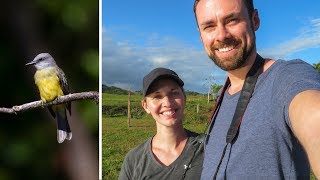 Costa Rica Birding Tour REVIEW