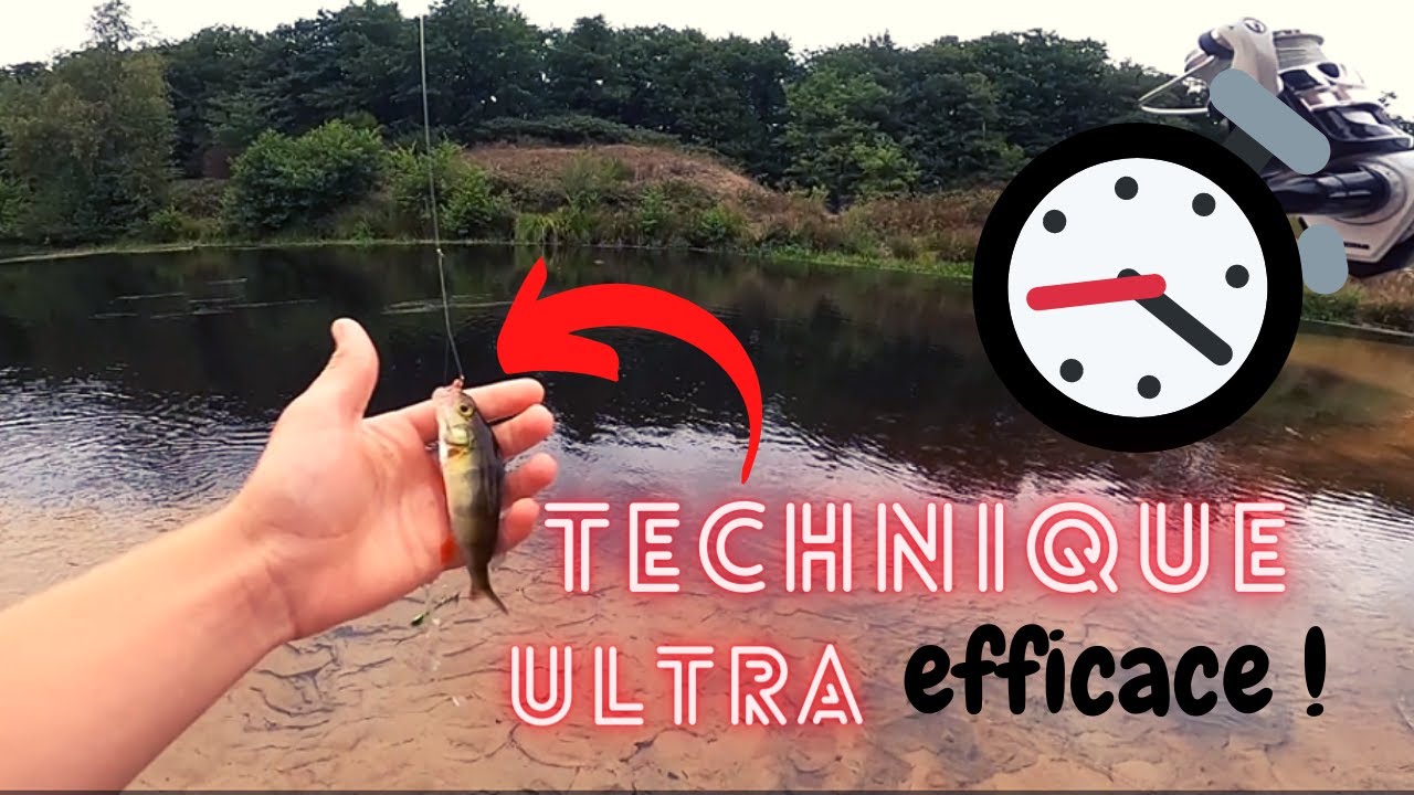 Comment PÊCHER la PERCHE RAPIDEMENT - YouTube