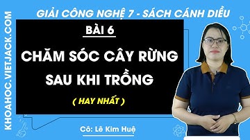 Công nghệ Lớp 7 Bài 6: Chăm sóc cây rừng sau khi trồng | Giải Công nghệ 7 | Cánh diều (HAY NHẤT)