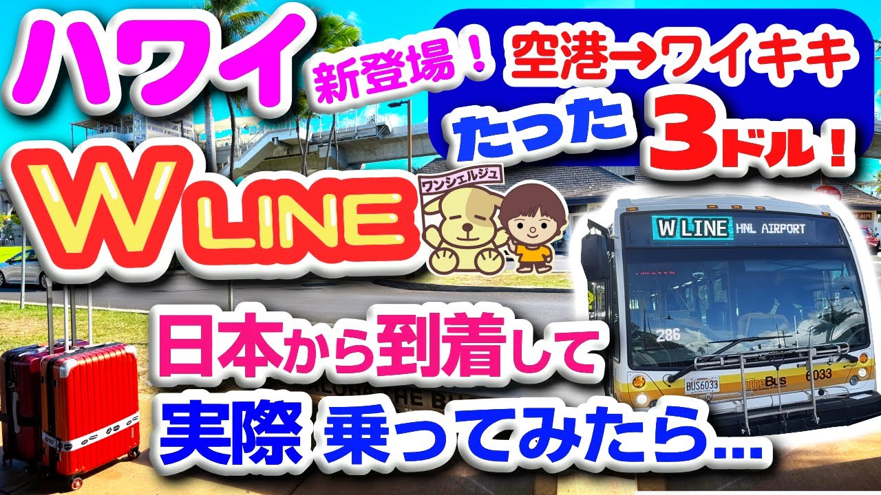 ハワイ最新 空港バスW LINE 実際に利用したらこうだった〜！速報版【ホノルル空港からワイキキの行き方】荷物規定・最安移動手段・乗り場まで・空港ワイキキ間の所要時間・停留所・料金・ホロカードの買い方