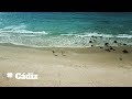 ESPAÑA #5 | Ruta en coche por Cádiz. Paraísos de la Costa de la luz. | La mochila de Toño