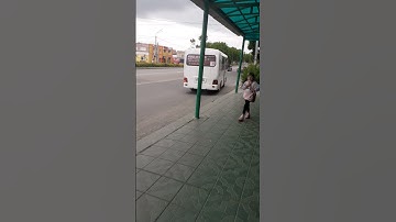 Hyundai County маршрут 9 Двойка-Артем Центр.