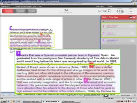 Best originality report option in turnitin