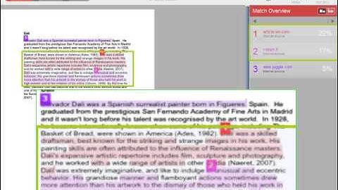 Turnitin - Your originality report
