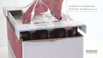 IDEXX - How to change ProCyte Dx reagent