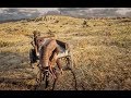 Hunting Wagon Gameplay in Great Plains - Red Dead Redemption 2