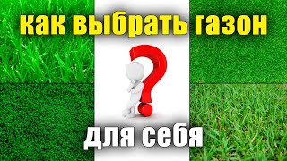 Как правильно выбрать семена ГАЗОННОЙ ТРАВЫ. Семена газона, мятлик, овсянница, райграс, что лучше.