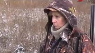 Норная охота с собаками Норная охота с собаками