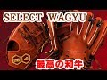 【内野手オーダー専用の和牛！？】ジュンケイグラブが辿り着いた内野手専用の革がズバ抜けている【SELECT WAGYU】