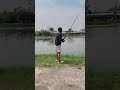 Tai nạn câu cá tra