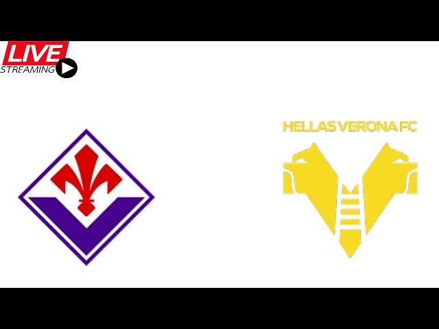 STREAMING-] Streaming: ACF Fiorentina - Hellas Verona diret, Fans of  Gasket Pro Tools