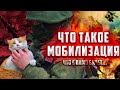 Что такое Мобилизация? Кто попадет? Что будет если уклониться