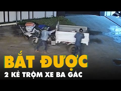 Video Bắt được 2 đối tượng vào vựa hoa kiểng trộm xe ba gác - youtube