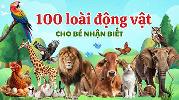 Con Gì Đây - Dạy Bé Nhận Biết 100 Loài Động Vật Qua Hình Ảnh Và Video - Giúp Trẻ Thông Minh Sớm