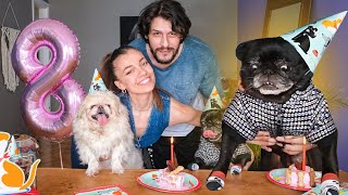 KÖPEKLERE SÜRPRİZ PASTALI DOĞUM GÜNÜ PARTİSİ !
