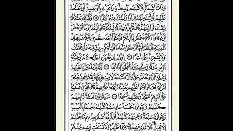 018 سورة الكهف ترتيل الشيخ ابراهيم رزق غنيم