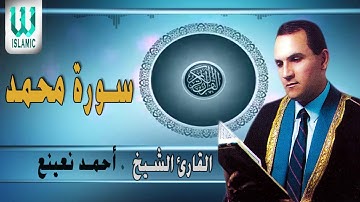 القارئ الطبيب أحمد نعينع نادرة من سورة محمد