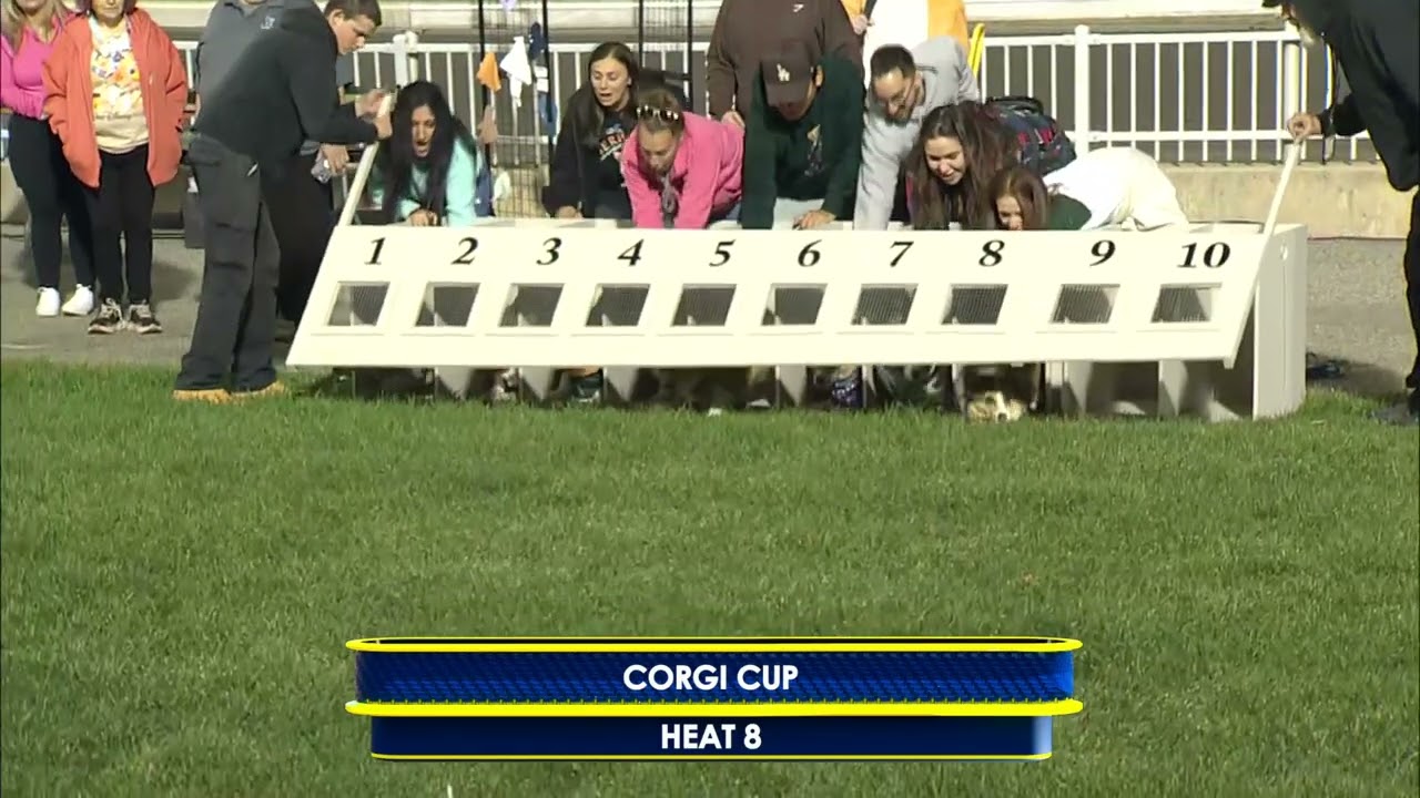 18 октября 2025 г. — 8-й этап Кубка Корги