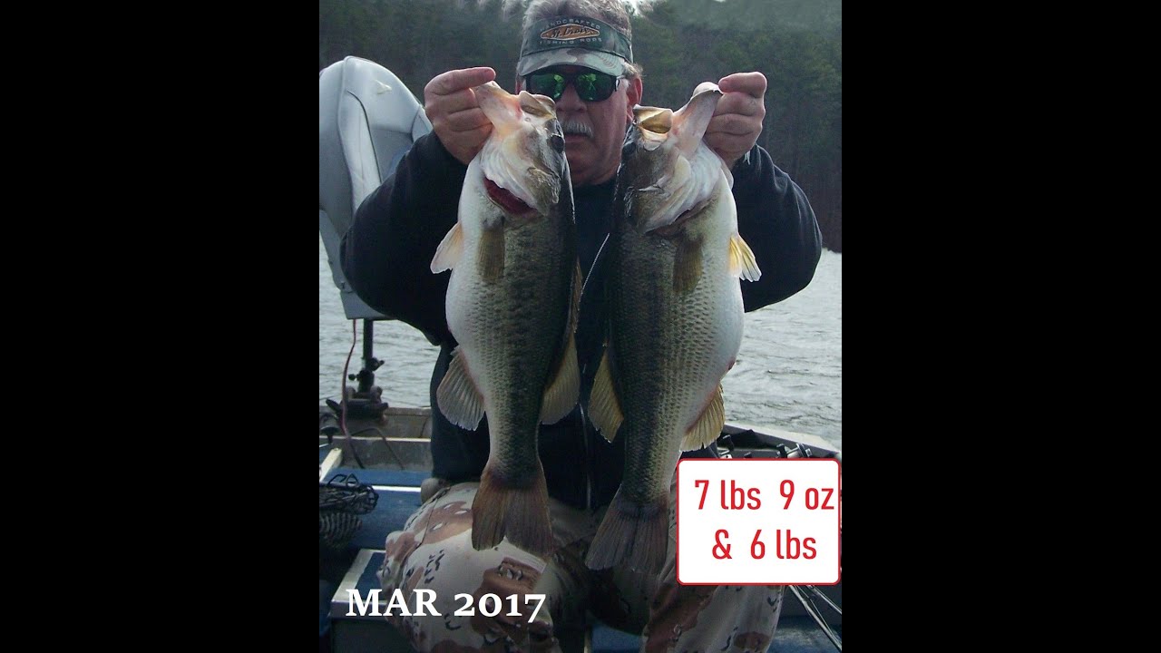 GLIDE AND GLERK FISH THROUGH 2024 …CHRONOLOGICAL ORDER #bigbassfishing #glidebaits (84)
