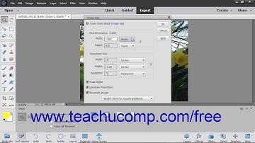 Photoshop Elements 2019 Tutorial Image Size & Resolution Settings Adobe Training