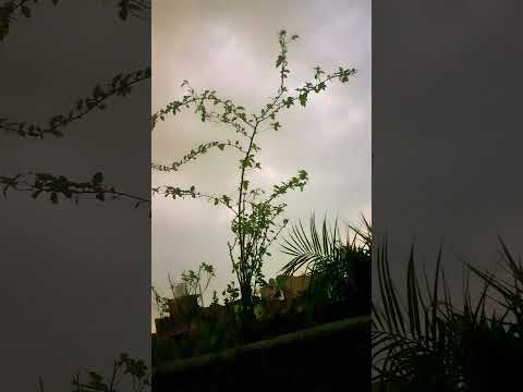 Kitna Khubsurat Mausam