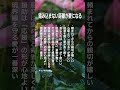 踏み込まない距離が愛になる #老後の幸せ #名言