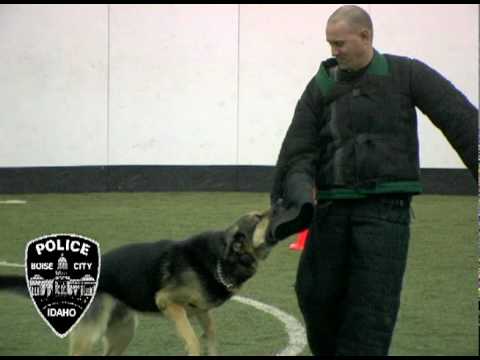 boise-police-k-9-unit-demonstrations