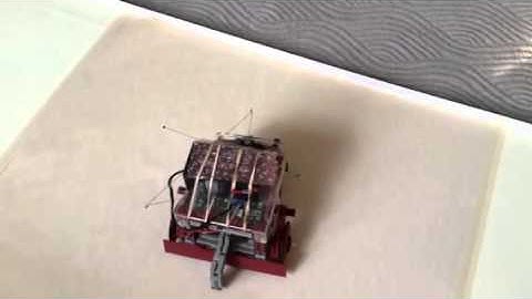 BBC Buggy meets Raspberry Pi