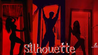 Silhouette Challenge Tik Tok Compilation