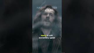 Did You Know In Harry Potter And The Order Of The Phoenix