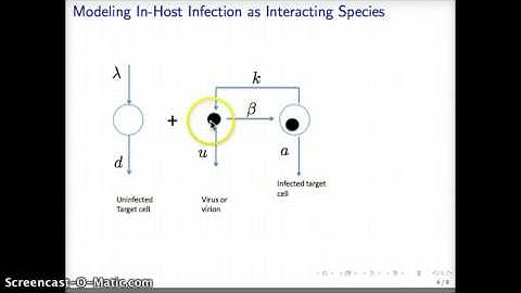 MATH 5880 Basic Model of Immunology Part 1